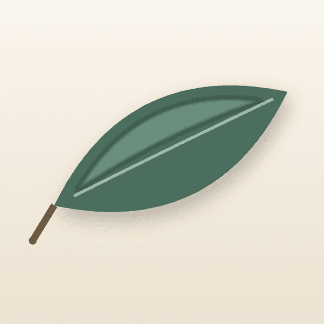 Sprig app icon